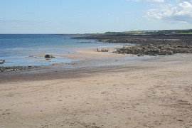 local beach 